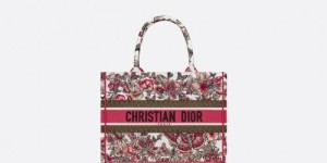 Year-end gift bags | Love at first sight Dior new spring bag composite fabric information