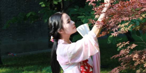 What are the fabrics of Hanfu?  Composite fabric information