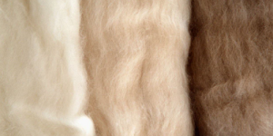 What is the difference between cashmere and wool? How to wash a cashmere coat at home?