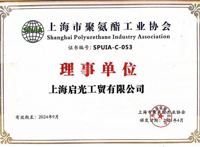 1Shanghai Polyurethane Industry Association.jpg